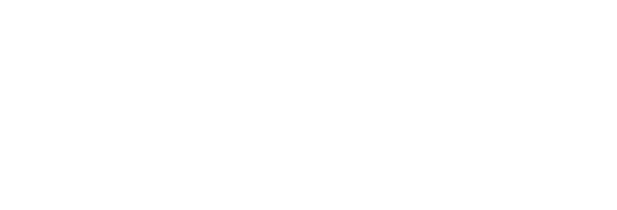 The Scale Agency
